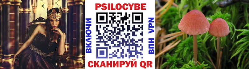 Псилоцибиновые грибы прущие грибы  mega онион  Норильск 