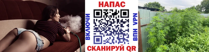 Каннабис семена  хочу наркоту  Норильск 